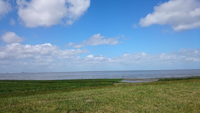 Ocean, sea, beach, sky, grass, sand at ploen, germany