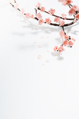 Festive Valentine day background - tender pink flowers sakura on twig in sunlight with shadows on soft light white wood table, top view, copy space, vertical. Elegant floral spring love background.