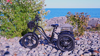 Electric bicycle in the park in sunny summer day near lake. Natural lighting. The view of the bike...