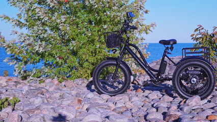 Electric bicycle or e bike in the park in sunny summer day near lake. Shot from the side. Lot of...