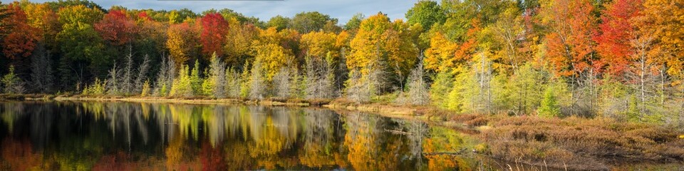 Fototapeta na wymiar A panoramic view of the vivid fall colors along the shoreline of a secluded Northwoods lake. Vilas County, WI.