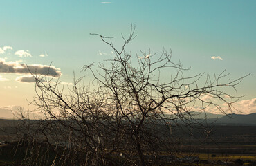 sunset over the river