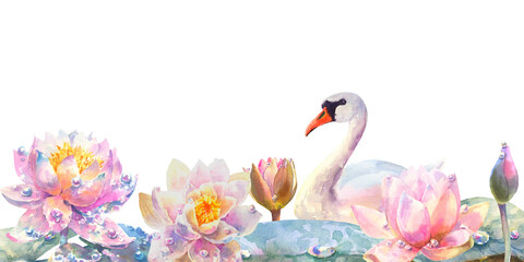 Obraz premium Water lily with swan. Greeting card with watercolor wild flowers on a white background. Lotus. illustration. Use for scrapbooking, Invitations, books and journals, decoupage