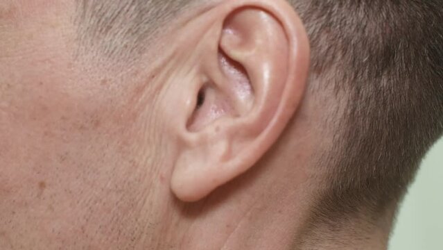 Left ear of middle aged caucasian man, close-up view. The part of the body responsible for hearing and perceiving sounds. Problem of perception, deafness, human anatomy, hear concept.