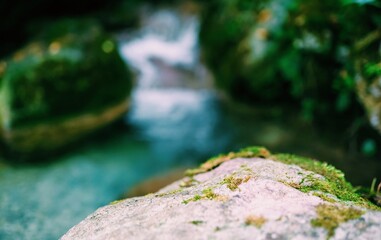 Empty stone in summer 