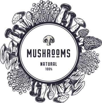Autumn forest mushroom picking, vegetarian menu frame