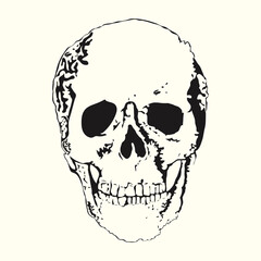 White graphic human skull with black eyes.