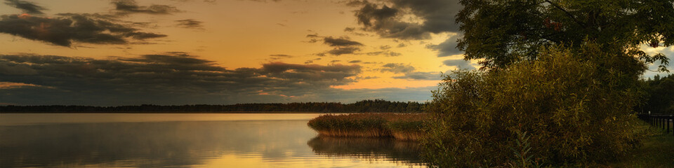 a serene calm morning on a lake with coastal reeds and trees in the warm light of dawn. widescreen panoramic view landscape