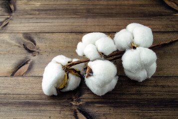 A branch of cotton on a wooden table.