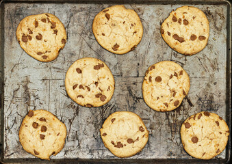 background of rustic tray homemade chocolate chip cookies 