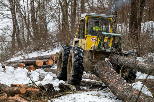 A skidder pulling a felled tree