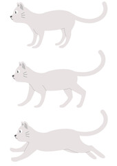 白い猫のイラストのセット_1_白猫
