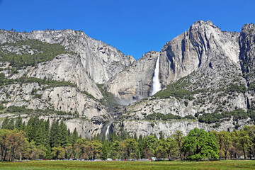 Fototapeta na wymiar Cook's meadow and Yosemite Falls - Yosemite National Park, California