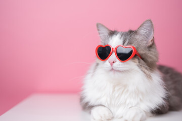 Cute funny cat in red heart shaped sunglasses sits on a pink background. Postcard with cat with...