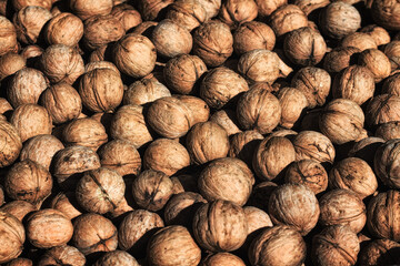 background of ripe walnut fruit close-up