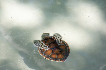 cancun vacation mexico sumer 