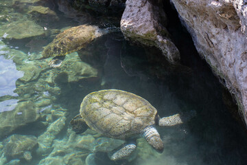 cancun vacation mexico sumer 