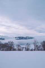 discesa da sci e snowboard con neve in inverno