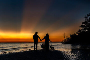 Fototapeta premium Couple walking with dogs by the ocean on the beach during sunset 