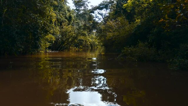 wide aerial view in drone inside the jungle on a river inside the jungle of guaviare in colombia 4k