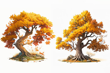 Two isolated autumn trees illustration isolated on white background.
