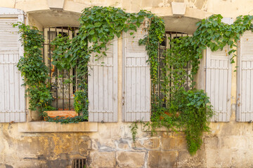 Fototapeta na wymiar Ivy growing over a barred window with wooden shutters.
