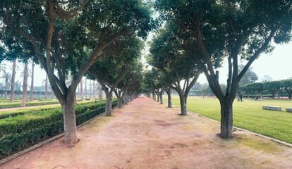 Fototapeta na wymiar The Arab League Park ( Parc de la Ligue Arabe ) in Casablanca, Morocco.