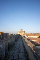 Fototapeta na wymiar Panorama - Aigues-Mortes