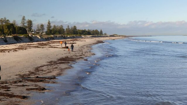 People Walk on Semaphore Beach in Morning during Winter
