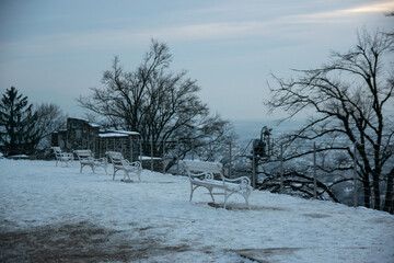 winter landscape with snow