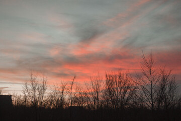 sunset in the field