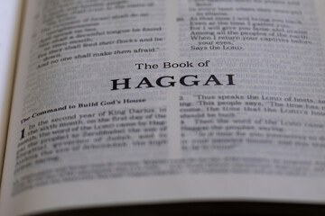 Obraz premium title page from the book of Haggai in the bible or torah for faith, christian, jew, jewish, hebrew, israelite, history, religion