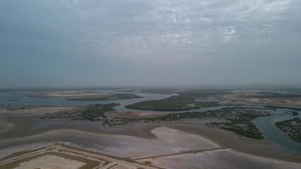 ÎLES DU SALOUM, SENEGAL BAOBAB