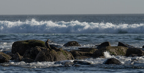 CAYUCO, DAKAR, SENEGAL
