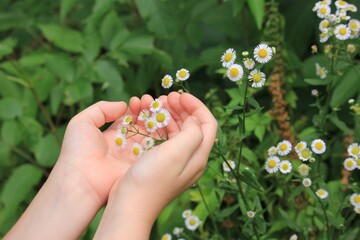 Person holding flowers in a forest