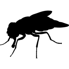 illustration of fly insect flying flies silhouette vector transparent background 