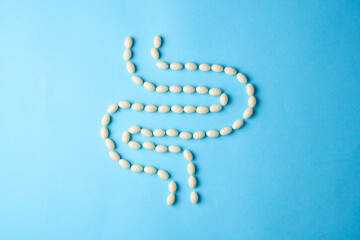 Probiotic and lactobacillus supplement pills forming a human intestine.