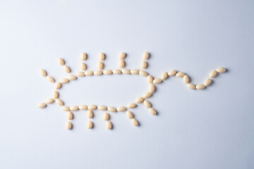 Probiotic and lactobacillus capsules forming a lactobacillus bacterium.