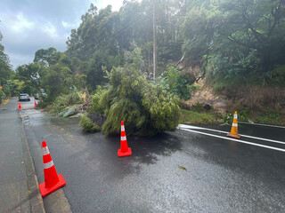 View down road shows a land slip with trees and mud blocking a road after serious heavy rainfall in New Zealand.Warning signs.National emergency.Climate change