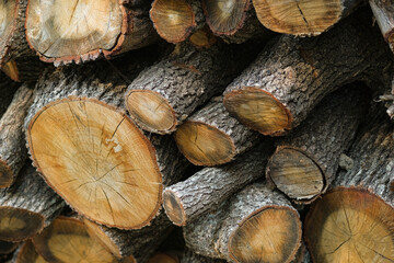 Firewood logs pile stacked for winter home fireplace burning, energy resource material