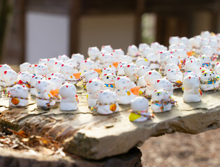 一匹だけこちらを見つめる招き猫