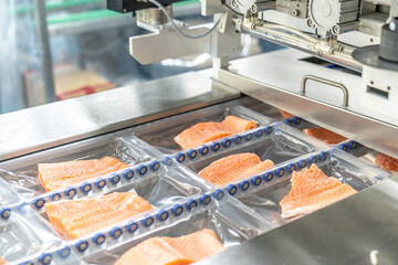 Salmon coming out of a conveyor belt in a seafood factory