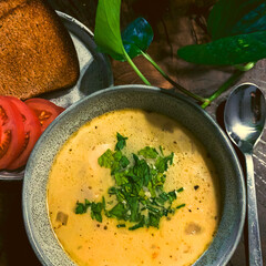 fish creamy soup with fresh herbs in a bowl. High quality photo
