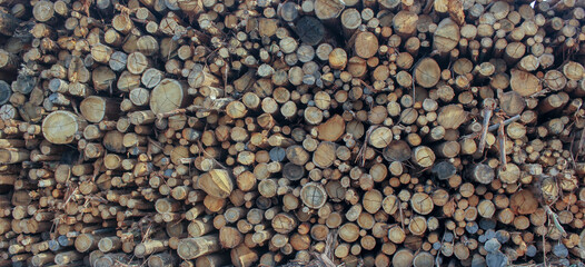 wooden logs stacked together in Galicia, Spain