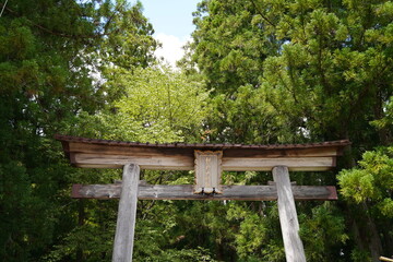 熊野本宮大社、本宮大社、熊野、くまの、聖地、くまのほんぐうたいしゃ、八咫烏、やたがらす、やたのからす、からす、熊野古道、和歌山、熊野三山、くまのこどう、参詣道、熊野参詣道、紀伊半島、世界文化遺産、世界遺産、紀伊山地の霊場、ユネスコ、文化遺産、日本、森、古い道、参拝、参道、伝統、お遍路、石階段、木、紀伊山地、案内図、看板、空、山、景色、アウトドア、宗教、崇拝、和歌山、神道、仏教、鳥居、橋、木、信仰、