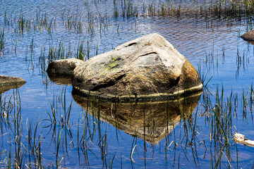 Rock Sitting In Pond With Reeds And Reflections Yosemite