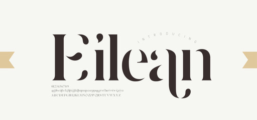 Luxury alphabet letters font. Typography elegant wedding classic lettering serif fonts decorative vintage retro. vector illustration