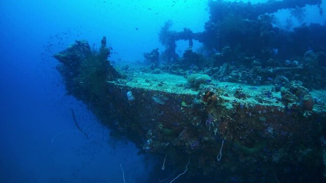 Coral on wreck underwater on seabed of Pacific Ocean on Chuuk Islands. Sunken ship in sea life of Truk. Diving on shipwreck in blue lagoon.