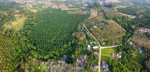 Thai rural landscape. Panoramic aerial view farmland on sunny day. Krabi Province, Thailand.