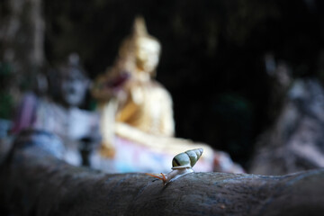 Conception of Buddhism. Snail crawling on the background of Buddha statue in Thep Pratan Cave. Thab Prik, Krabi Province, Thailand.